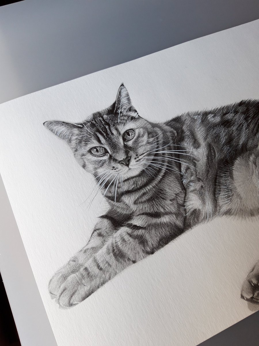 vanvan_art's tweet photo. ✏ Desde el carrete 🐱 https://t.co/7Voahg21dV