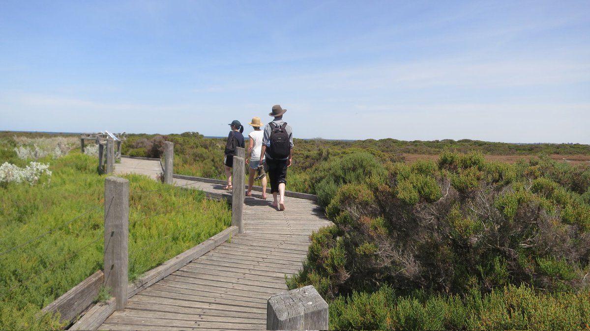 rebeccabhull's tweet image. Exploring #JawboneMarineSanctuary with colleagues, to generate ideas for next semester's #BIOL10001 #australianfloraandfauna #fieldtrip.

@BioSci_UniMelb @scimelb @unimelb

#bunurongcountry #boonwurrungcountry #PortPhillipBay #undergradresearch #undergradteaching