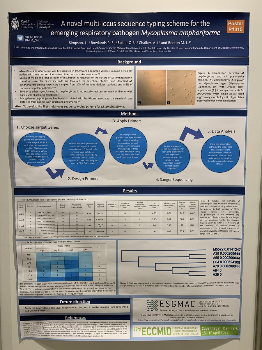 Poster up and ready to go #ECCMID2023 Work carried out by previous lab member Lily Simpson who undertook this work as part of a <a href="/AMIposts/">Applied Microbiology International</a> summer studentship. Nice work Lily!!