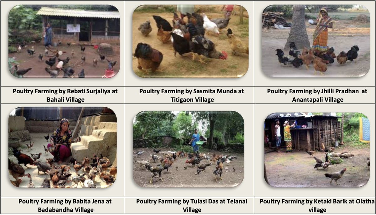 EU Can Aid tweet media