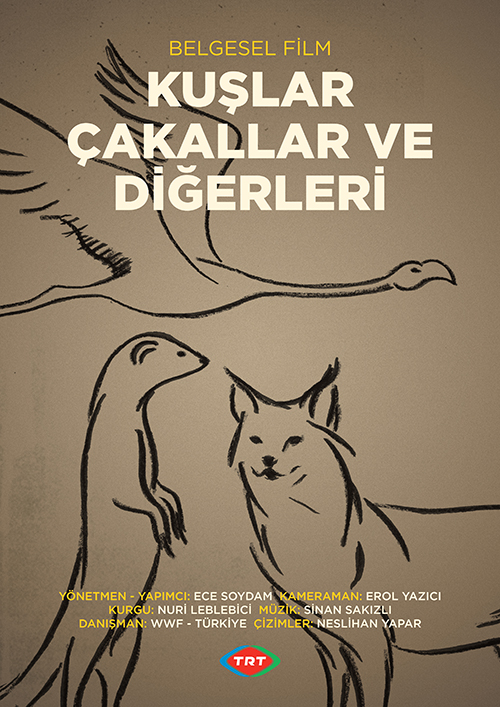 2013 yılı. "Kuşlar, Çakallar ve Diğerleri"

dailymotion.com/video/x11jt5z