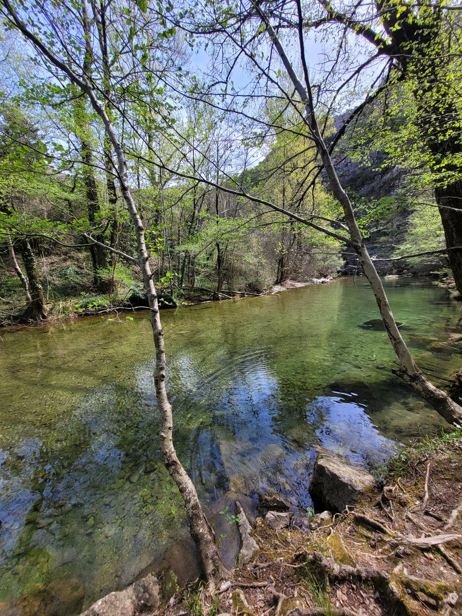 Laury Sarti tweet media