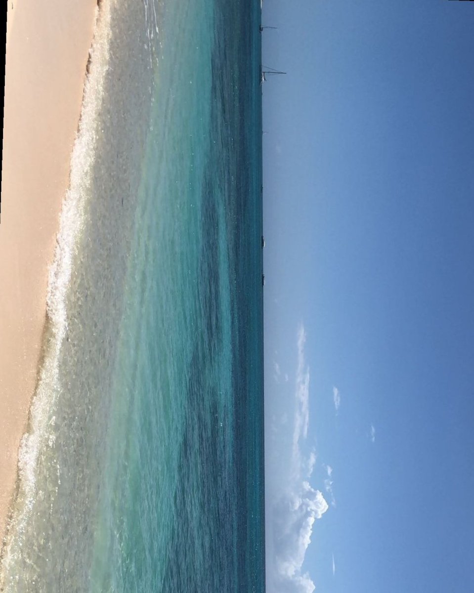 Throwback to Grand Turk, April 2019 and a beach we found all to ourselves on a Sunday morning.
#sweetfinds #grandturk #turksandcaicos #privatebeach #sundayvibes