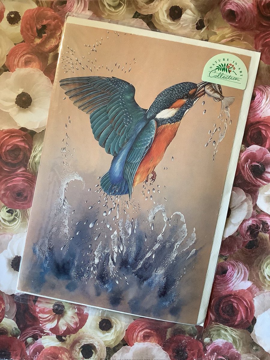 WatsonsVintage's tweet photo. NEW LISTING I only have ONE of these BEAUTIFUL #VintageCards available in my #etsyshop Extremely RARE Circa #1970s Blank #GreetingsCard with a STUNNING 'Kingfisher' Design From a Painting By #JaneBrewer #ACardToFrame https://t.co/2XYvHppvDw #KingfisherDesign #ArtLover #BirdLover https://t.co/vBPTI6bdKg