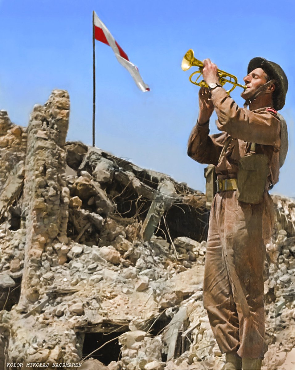 British Poles tweet media