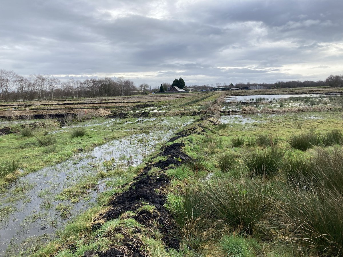 We are excited to be appearing on Countryfile at 6pm this evening, when our peatland team members Sarah &amp; Mike will be discussing how farmers can grow crops on peat, while enhancing the environment and helping wildlife bbc.in/3MCrdHX bit.ly/405ICgg <a href="/BiffaAward/">Biffa Award</a>