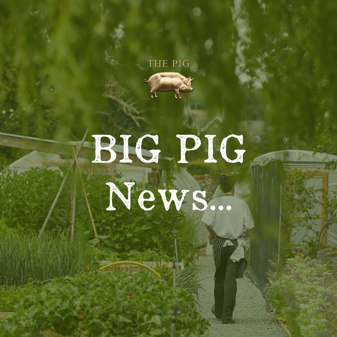 The_Pig_Hotel's tweet photo. BIG PIG news🐖 We will be opening two new PIGs (subject to all planning and listed building permissions)!

🌱 THE PIG-on the farm, Stratford-Upon-Avon, 2024
🌱 THE PIG-at Groombridge, Tunbridge Wells, 2025

Sign up to stay up to date on all things PIG: https://t.co/AQ9Hcm7upP https://t.co/tp29kkKZa6