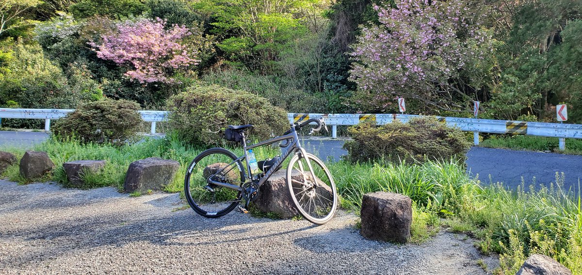 _evrs's tweet image. 久々に登った！
人多くて上手く撮れなかった😱