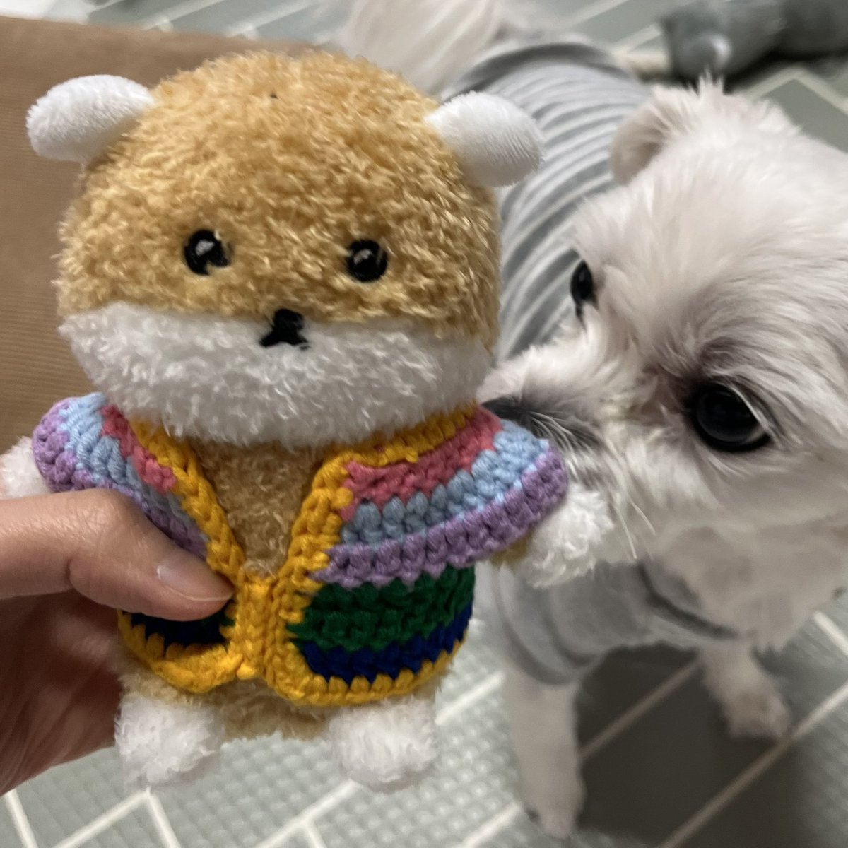 너무 예쁘고 귀엽고 다 해...🤦🏻‍♀️
햄슥이 옷은 기가현슴이 뽀인뜨♥️
너무 고마워유♥️♥️