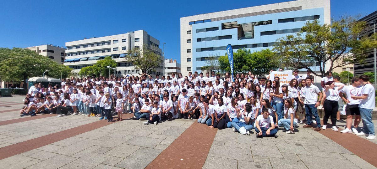 IES Maimónides tweet media