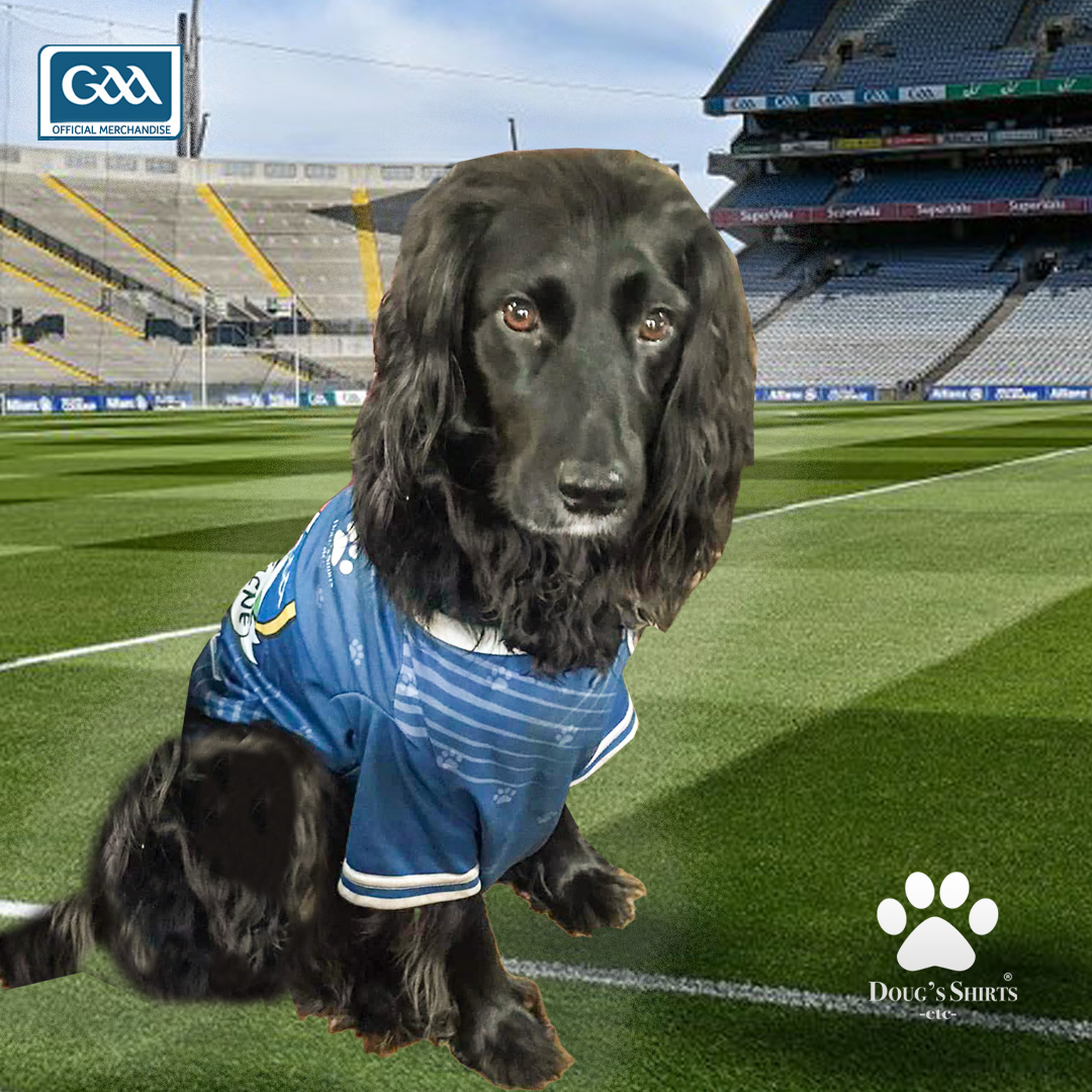 Have you ever seen such a pretty mane? Missy is definitely a furry GAA stunner and she is supporting County Cavan! #Cavan #CavanGAA #dogjersey #petjersey #dougshirts #dougsworld