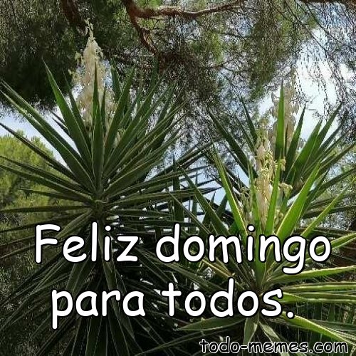Buenos días💕
Feliz domingo☕🎶💃🙂
Que sea un día extraordinario💕para tod@s😉🥳
Besos🥰y abrazos🤗con carño👍
      Sean felices💃🎶💕
A difrutar el domingo🥳con alegría y buena actitud💪😉🥰🥰🥰