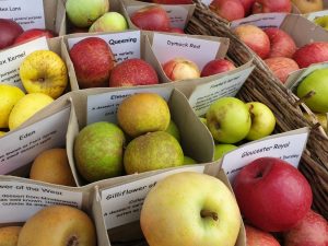 The DNA analysis project run via FruitID is now in its 8th year.  This year the scheme offers DNA analysis at £32.50 plus VAT per sample for Apples, Pears, and Cherries.

If you would like to participate, please go to fruitID.com/#hel #apples

glosorchards.org/home/blog/2023…