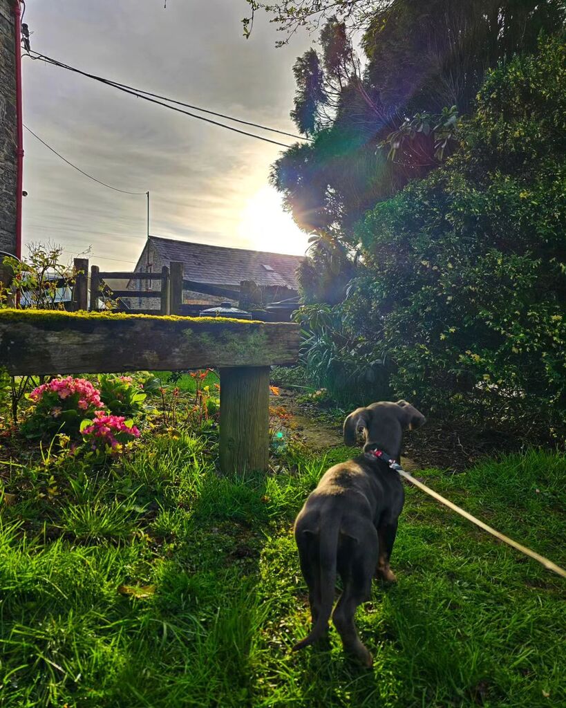 PoetNeininger's tweet photo. A week since exploring the Welsh countryside.

#Gloucester #Poet https://t.co/e7qP32G4xX https://t.co/qIU0tt84of https://t.co/IlmP956bMx