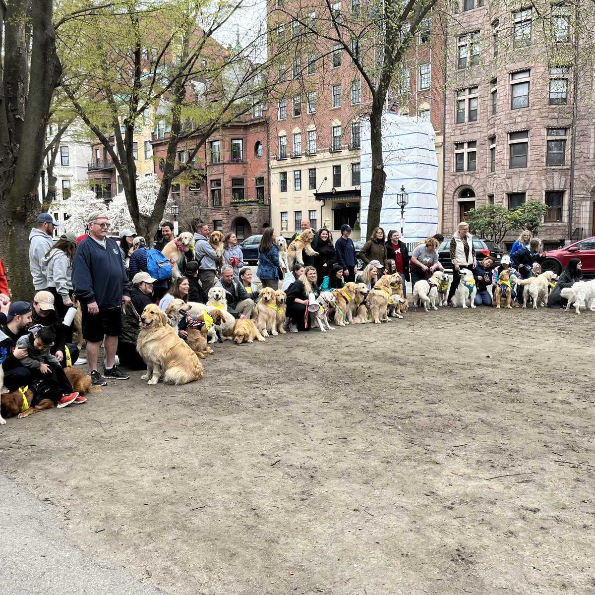 maryathanasia's tweet photo. Over 100 golden retrievers and their owners are walking a mile this morning in honor of Spencer, the official #BostonMarathon dog who died earlier this year. https://t.co/0p9Mnrwxjn