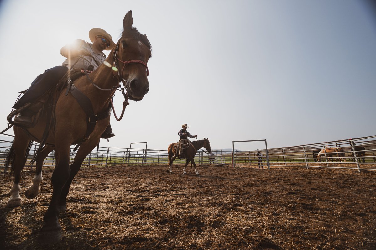 Shift the addiction of looking out for answers to looking in for answers.

#timeisnow
#livingyourowncreation