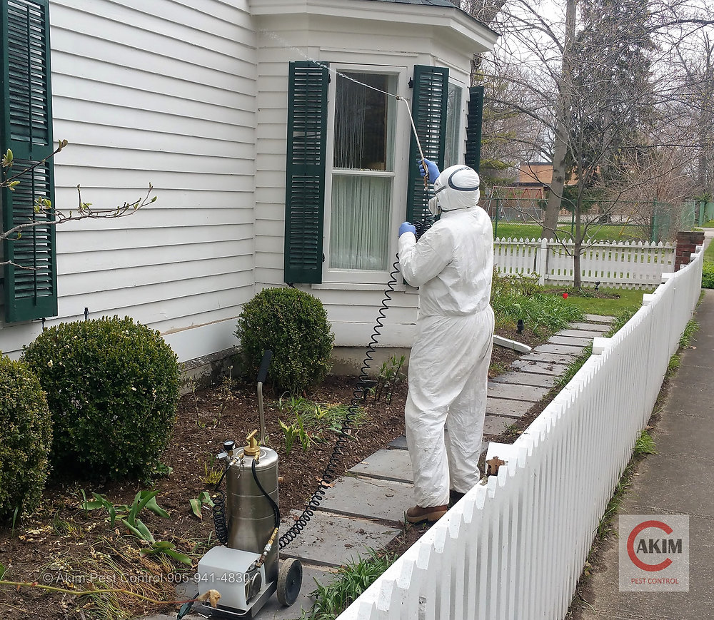 If you are preparing for a pest control spray by an exterminator, there are several steps you can take to ensure that the process goes smoothly and effectively. Check out this post for some tips for preparing your house for pest control spray:  buff.ly/3miKX8N