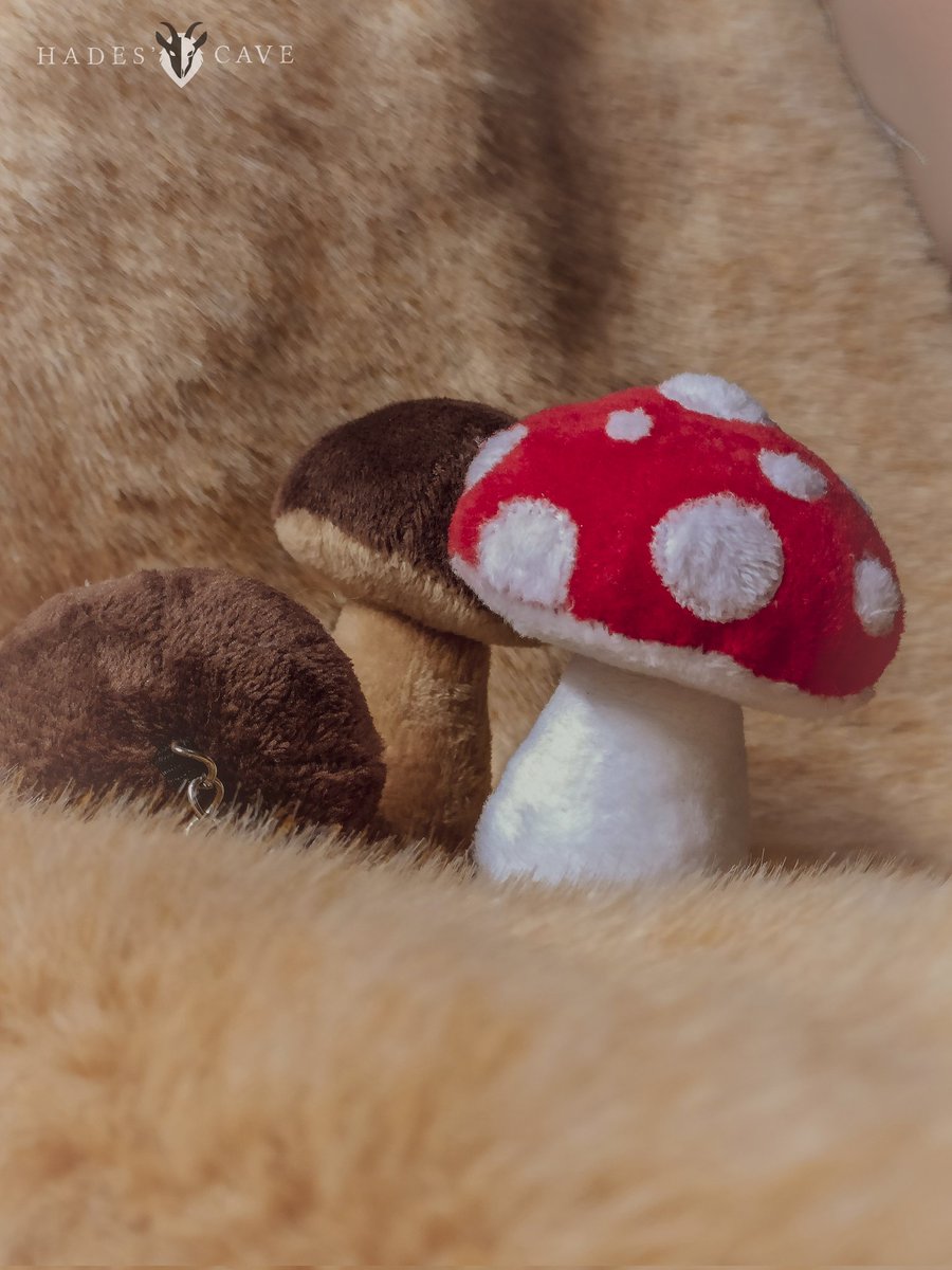 CaveHades's tweet photo. The new mushroom fursuit props are ready! 
🍄 1x 10€ or 2x17€
If you want the spots it's +5€ each one is individually sewn by hand.
Custom colors available! 💎

PayPal &amp; Vinted available! https://t.co/busOt7DWic