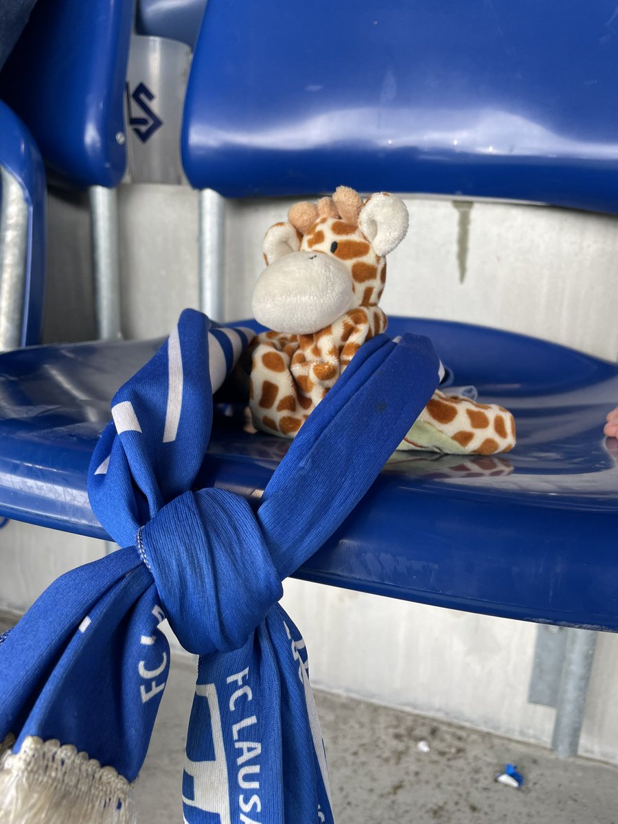 bcorbaz's tweet photo. 1er match dimanche @lausanne_sport pour le doudou de n’3 #LSSLO #AllezLS https://t.co/upXfCMQZvj