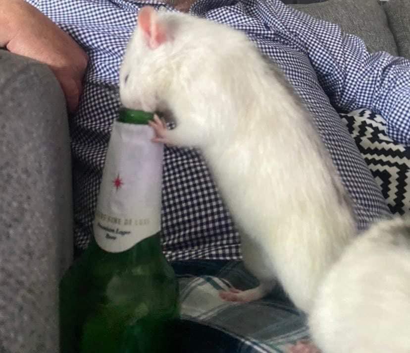 debnewt99's tweet photo. Beer time lol xx https://t.co/FOOjgNItKH