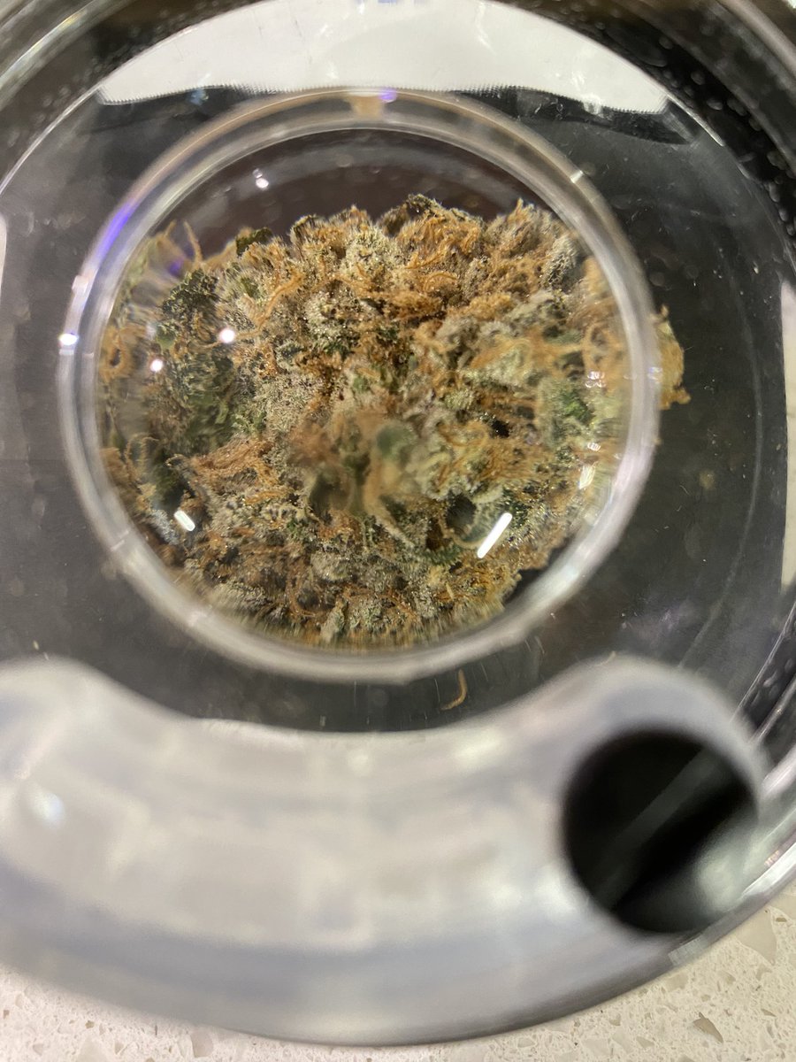 Just Got That @MikeTyson … 2.0 Gas 😤 35.7 % THC 

Who’s smoking with me in 2023 😏

#CannabisCommunity #cannabisculture #cannabisindustry #CannabisSocialClub #cannaland #Mmemberville #LGNDVILL #stoner #weed #tysonranch #cannabisculture