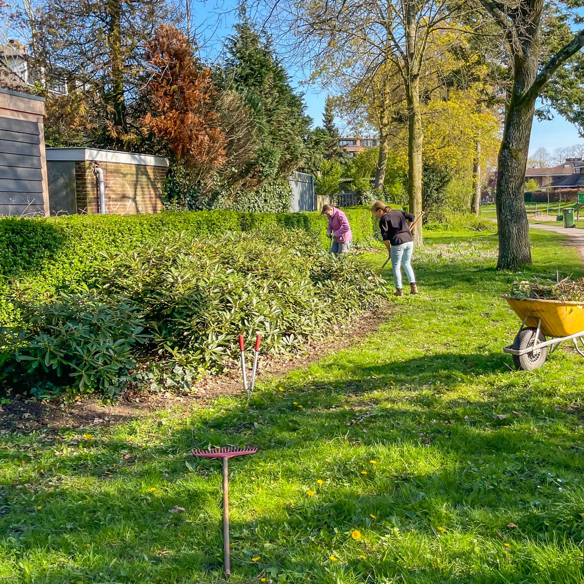 sonsbeeckpark's tweet photo. Eindelijk was het zover, de eerste parkochtend van 2023 in het prachtige Sonsbeeckpark! De volgende parkochtend is op zaterdag 3 juni. Tot dan! #Breda

https://t.co/xq9unun1rt https://t.co/6lpXmdkoDw