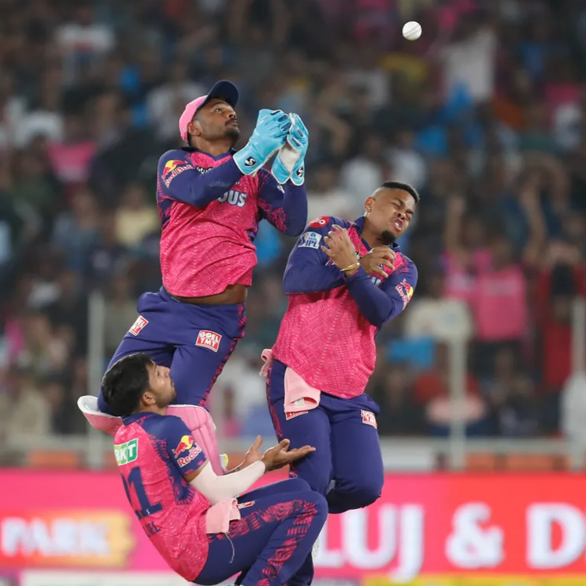 CricTracker on Twitter "Trent Boult caught hold of hundreds of memes