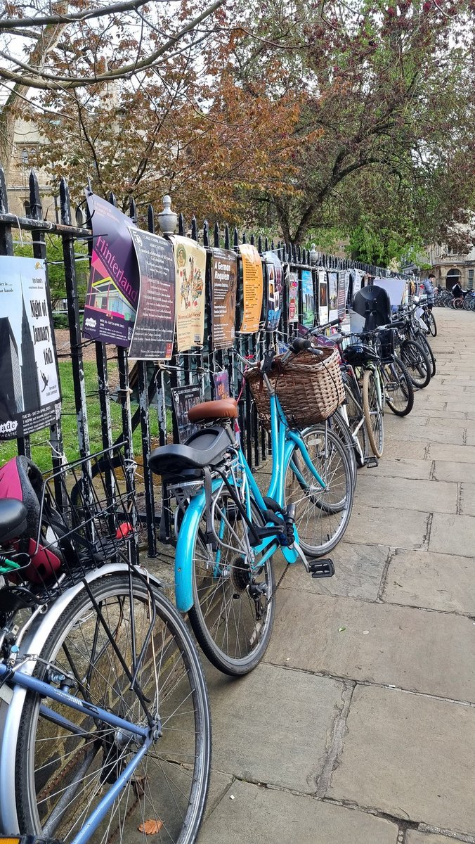 Prof. Meghan Azad, PhD tweet media