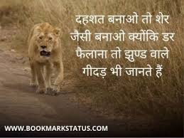 Haidar Ali (@haidara16499345) on Twitter photo 