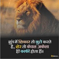 Haidar Ali (@haidara16499345) on Twitter photo 