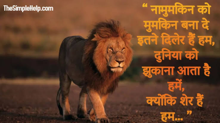 Haidar Ali (@haidara16499345) on Twitter photo 