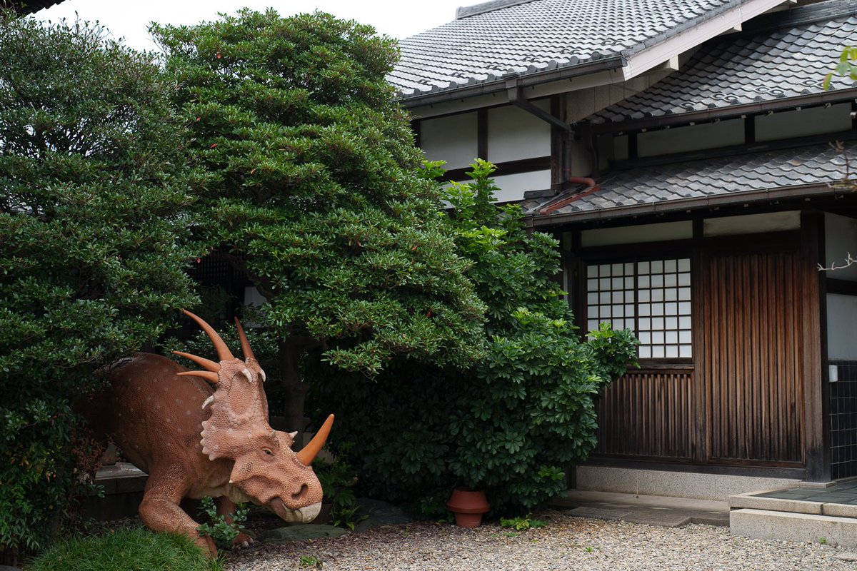 「番犬」

#スナップ写真
#キリトリ世界
#SnapShot
#snap
#α7IV
#SEL35F14GM