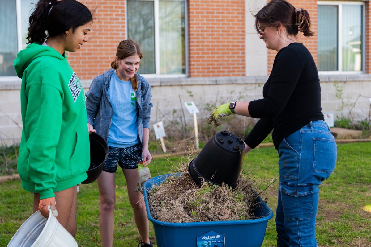 University of North Texas (@untsocial) on Twitter photo Itβs springtime North Texas! Join our <a href="/growmeangreen/">UNT Community Garden</a> Community Garden this #NationalGardenMonth for collaborative learning and an opportunity to work a specific garden plot. Learn more: bddy.me/3MQDuIW Itβs springtime North Texas! Join our <a href="/growmeangreen/">UNT Community Garden</a> Community Garden this #NationalGardenMonth for collaborative learning and an opportunity to work a specific garden plot. Learn more: bddy.me/3MQDuIW