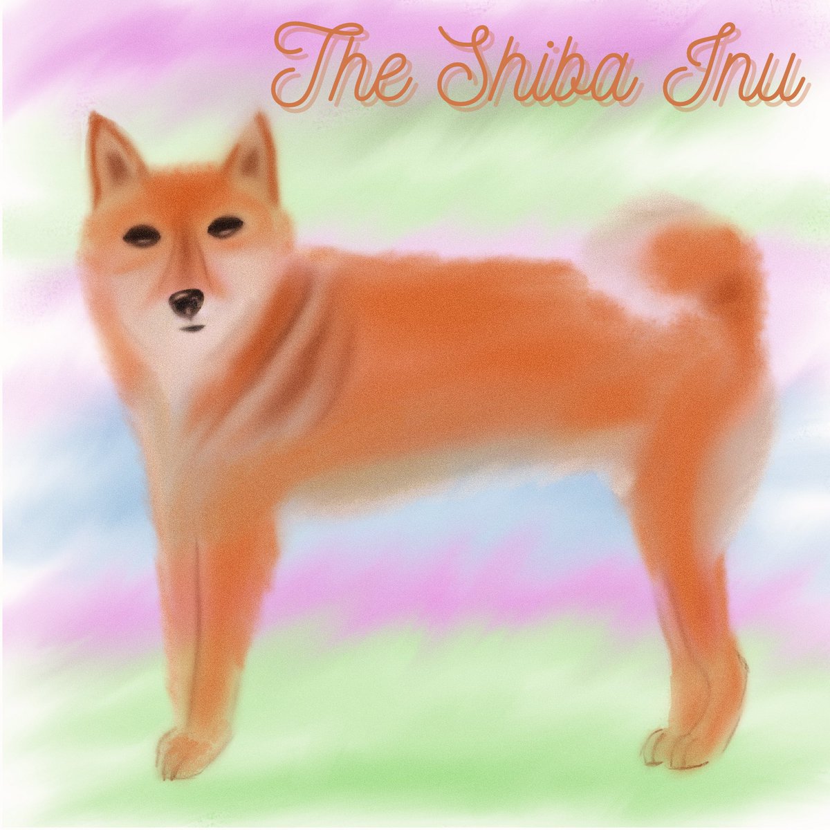 caledoniarf3's tweet photo. The Shiba Inu 

#design #graphicdesign #abstractdesign #creativity #abstractillustration #picoftheday #creative  #digitaldesign #myartwork #artsharing #artchallenge #ArtistOnTwitter #SHIBA #shibainu #dogs #dogsarelove https://t.co/CDxOgPVpg2