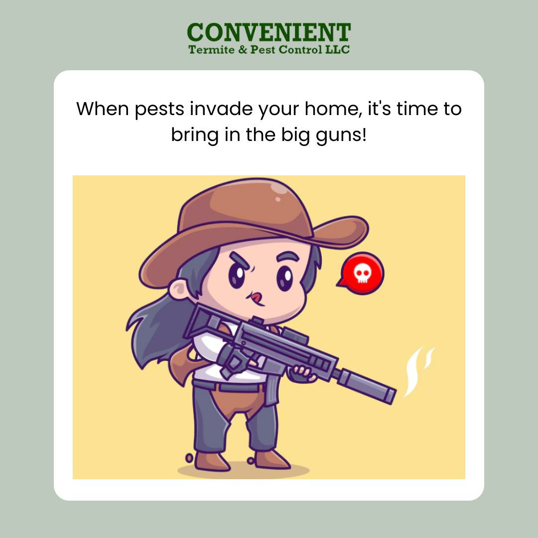 termiteslayer's tweet image. When pests invade your home, it&apos;s time to bring in the big guns! 😎🔫 #pestcontrolmemes #pestcontroller #exterminator #mesa #mesaaz