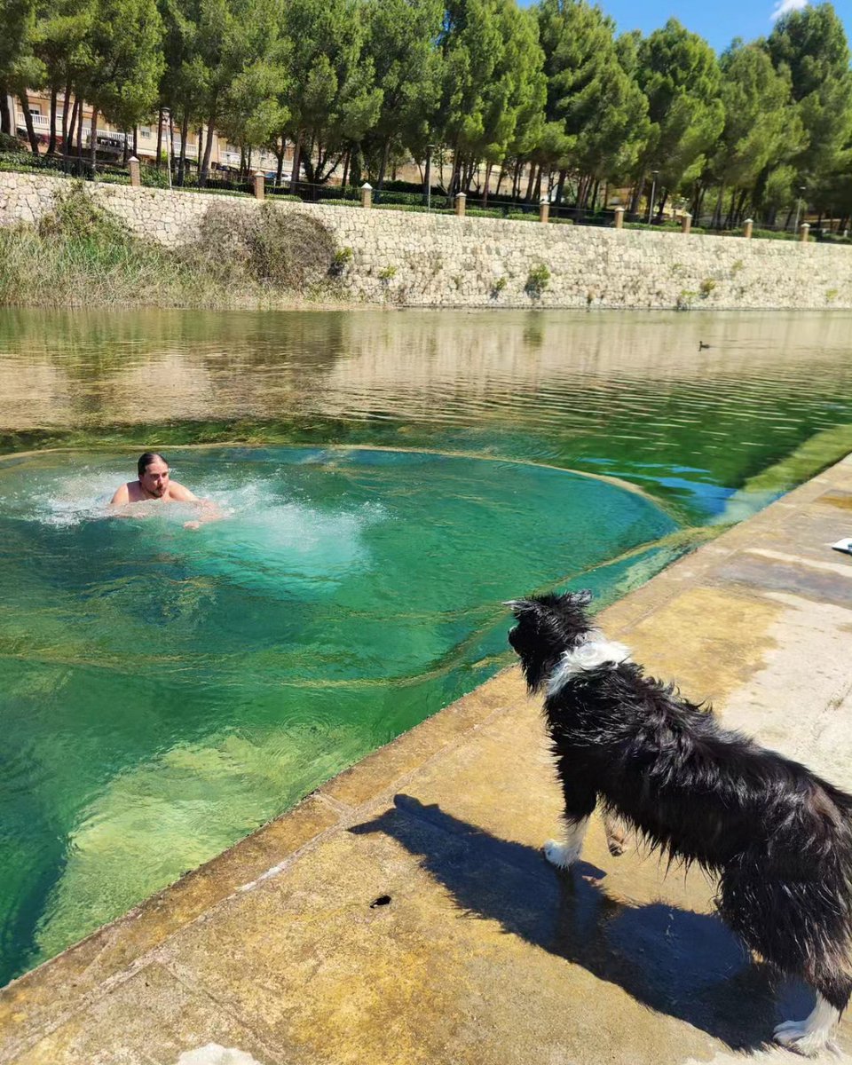 JLGLlagues's tweet photo. Diumenge d'assut #assut #domingo #diumenge #río #river #water #natura #nature #naturephotography #naturelover #naturaleza #antella #laribera #mobilephotography #mobilepic #oppofindx2pro https://t.co/5ZuyclTyy7