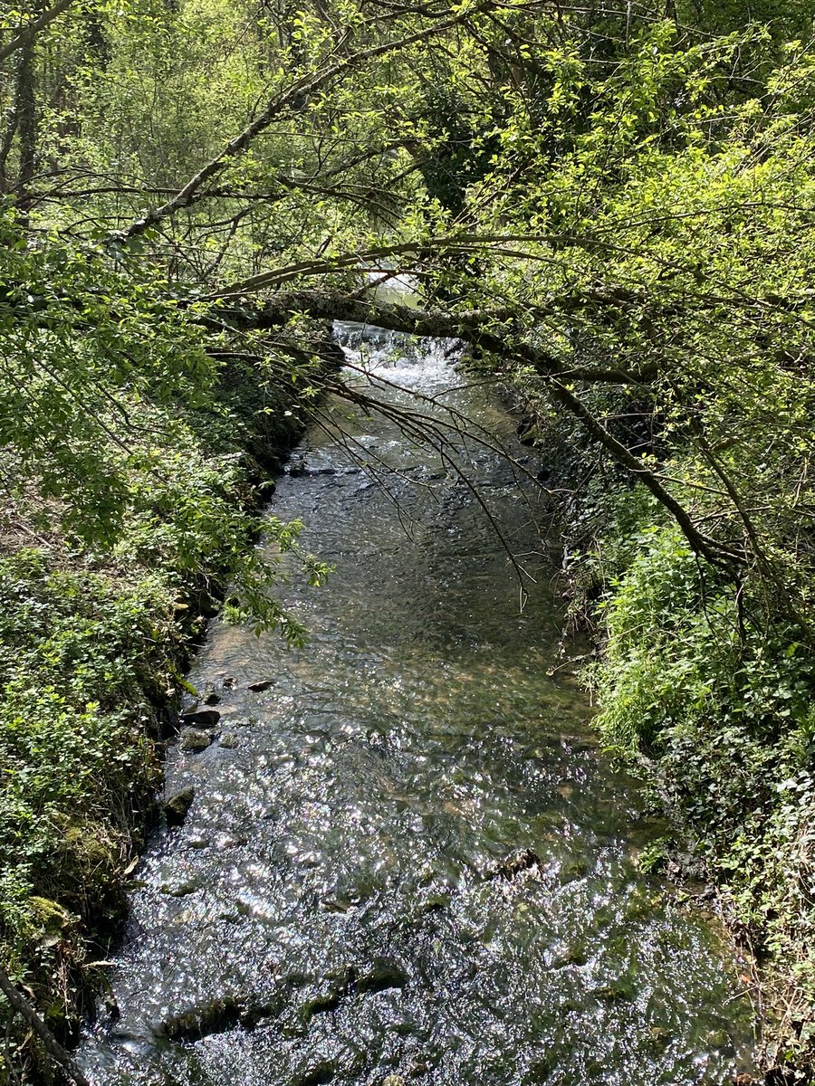 maelialc's tweet image. Profiter d’une belle après-midi ensoleillée à @sqy avant le départ demain pour Poitiers…#perdir2022