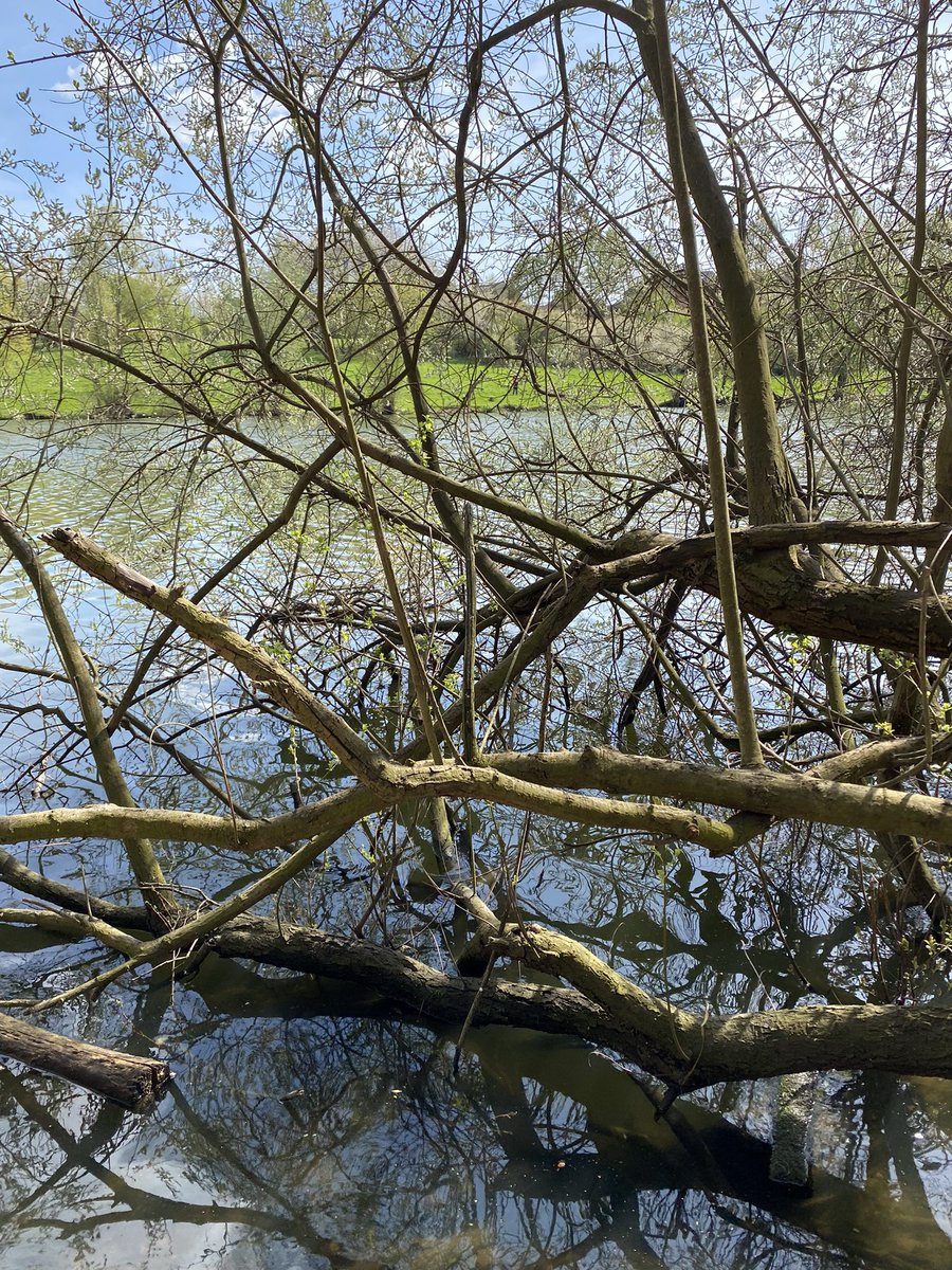 maelialc's tweet image. Profiter d’une belle après-midi ensoleillée à @sqy avant le départ demain pour Poitiers…#perdir2022