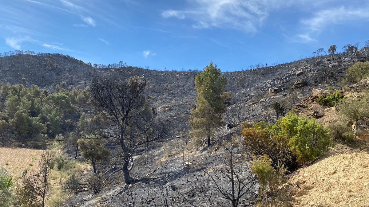 Alerta dels Bombers: "Si no plou al maig, entrarem en una situació que no hem vist mai" ccma.cat/324/alerta-del…
