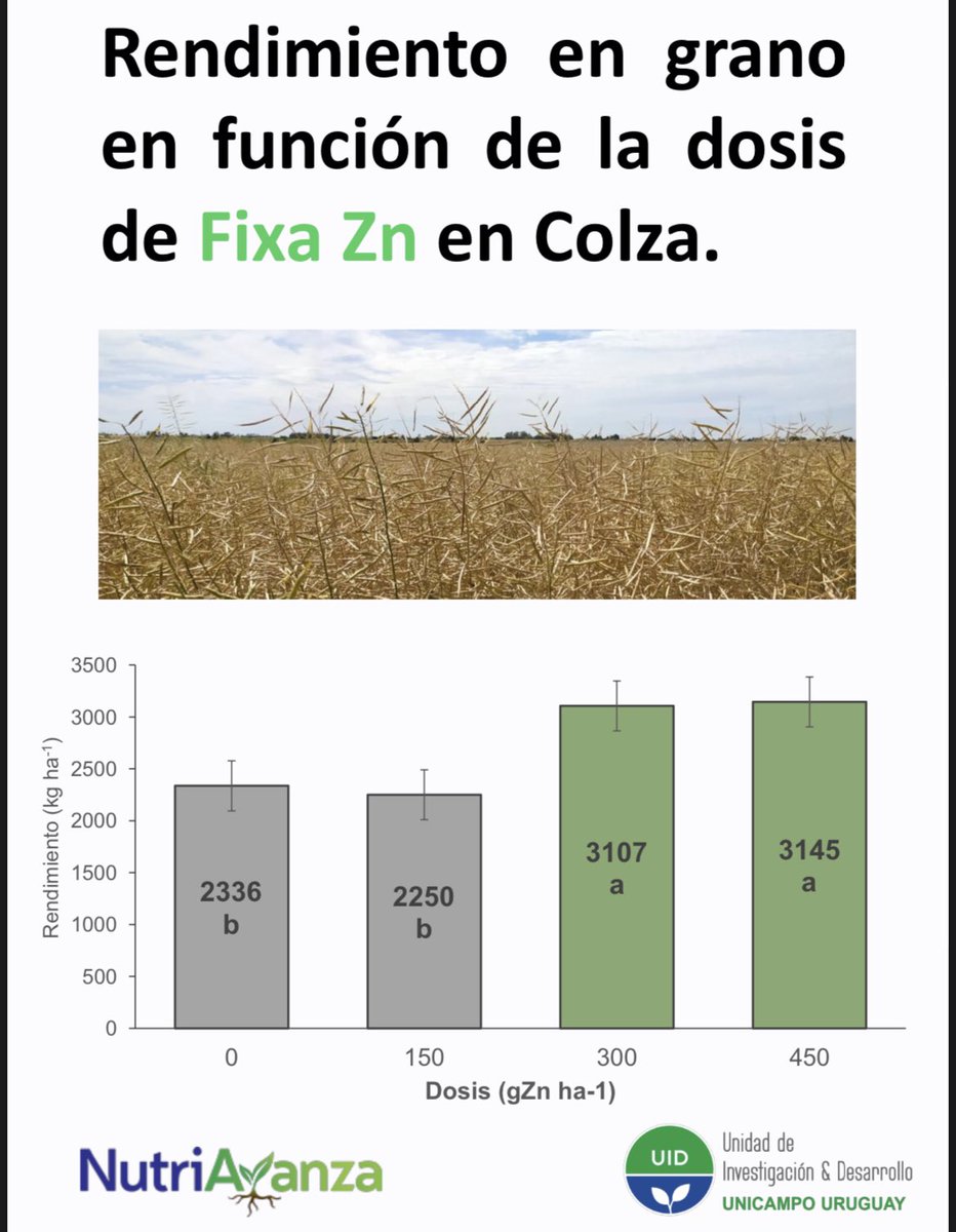 nutriavanza's tweet photo. Resultados experimentales de @UnicampoU en #Trigo y #Colza que consolidan los antecedentes de respuesta al #Zinc en cultivos de invierno y al #FIXAZn como una muy buena fuente para su aplicación foliar.
#micronutrientes #Nutriavanza https://t.co/llZsHnWp0l