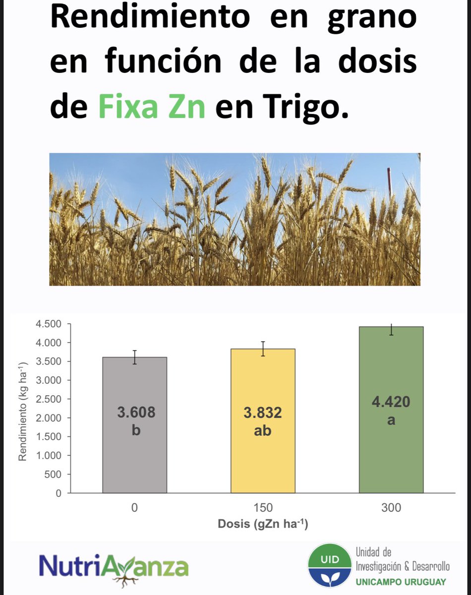 nutriavanza's tweet photo. Resultados experimentales de @UnicampoU en #Trigo y #Colza que consolidan los antecedentes de respuesta al #Zinc en cultivos de invierno y al #FIXAZn como una muy buena fuente para su aplicación foliar.
#micronutrientes #Nutriavanza https://t.co/llZsHnWp0l