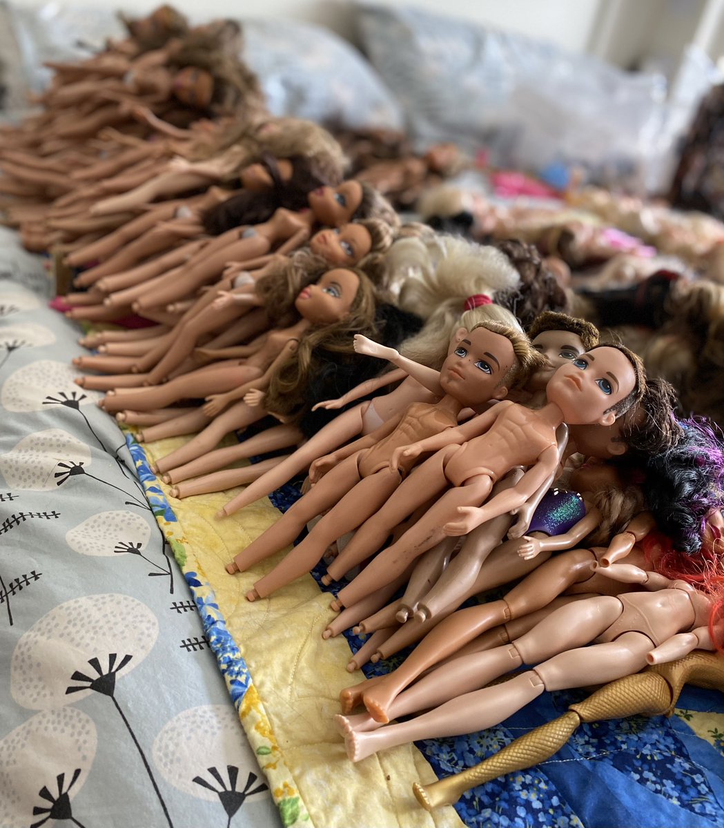 Devon Rescue Dolls tweet media