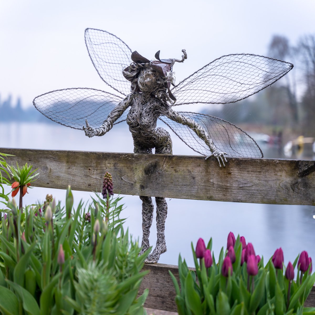 z70photo's tweet photo. Even if the weather isn't perfect @TrenthamEstate is always worth visiting to see the @FantasyWireLtd fairy trail. #Sunrise #Staffordshire #ThePhotoHour @StaffsSkies @Sotlive @staffs_live #Fantasywire #TrenthamFairyComp https://t.co/yAcOisXUDc