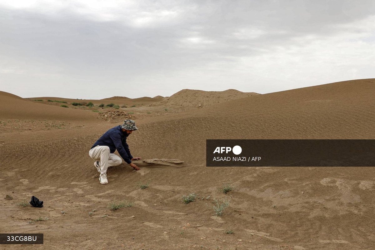 AFP Photo tweet media