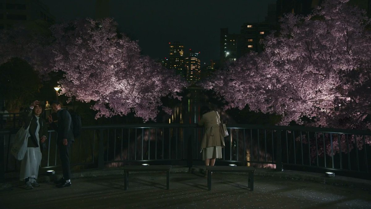 2분기라고 트는 드라마마다 벚꽃이 나오네