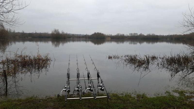 carperslog's tweet photo. 📱Carp fishing ah bliss!

🏷#OnTheBank #FishingLife #BankLife #CarpFishingLog #CarpCatch #FishingLog #Carpy #Carp #CarpFishing #CarpCatchReport #CarpersLog #Fishing #RT

📸 https://t.co/UluF0rEDlL