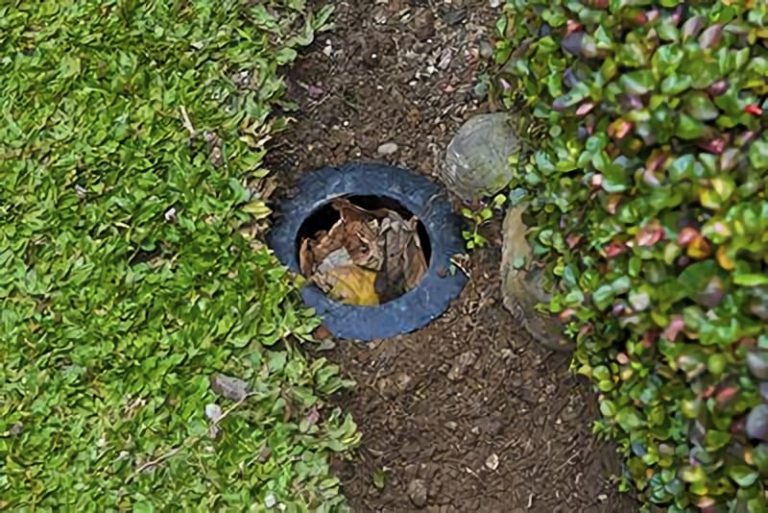 arbopalm's tweet photo. Que invento más intrigante. Meter la hojarasca en un agujero, o varios, próximos al árbol. En la superficie una boca especial para captar el agua de escorrentía.
Objetivos: drenaje y aporte de materia orgánica descompuesta a las raíces.
🤔
https://t.co/HtO5dwnLiJ https://t.co/XHtHxINSkh
