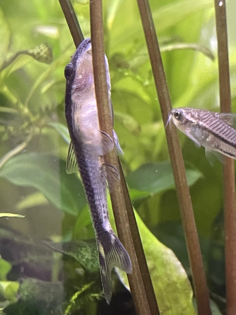 AbeBBB| Atleta tweet media