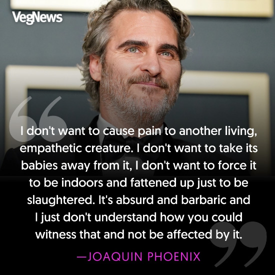 We cannot agree more! 🙌🌱🌱

Joaquin Phoenix has been vegan for almost his entire life and often uses his fame to advocate for animal rights. 💚

#goVegan #EndAnimalAg #StopEatingMeat #JoaquinPhoenix #MakeTheConnection #BeTheChange #meat #MeatFEST