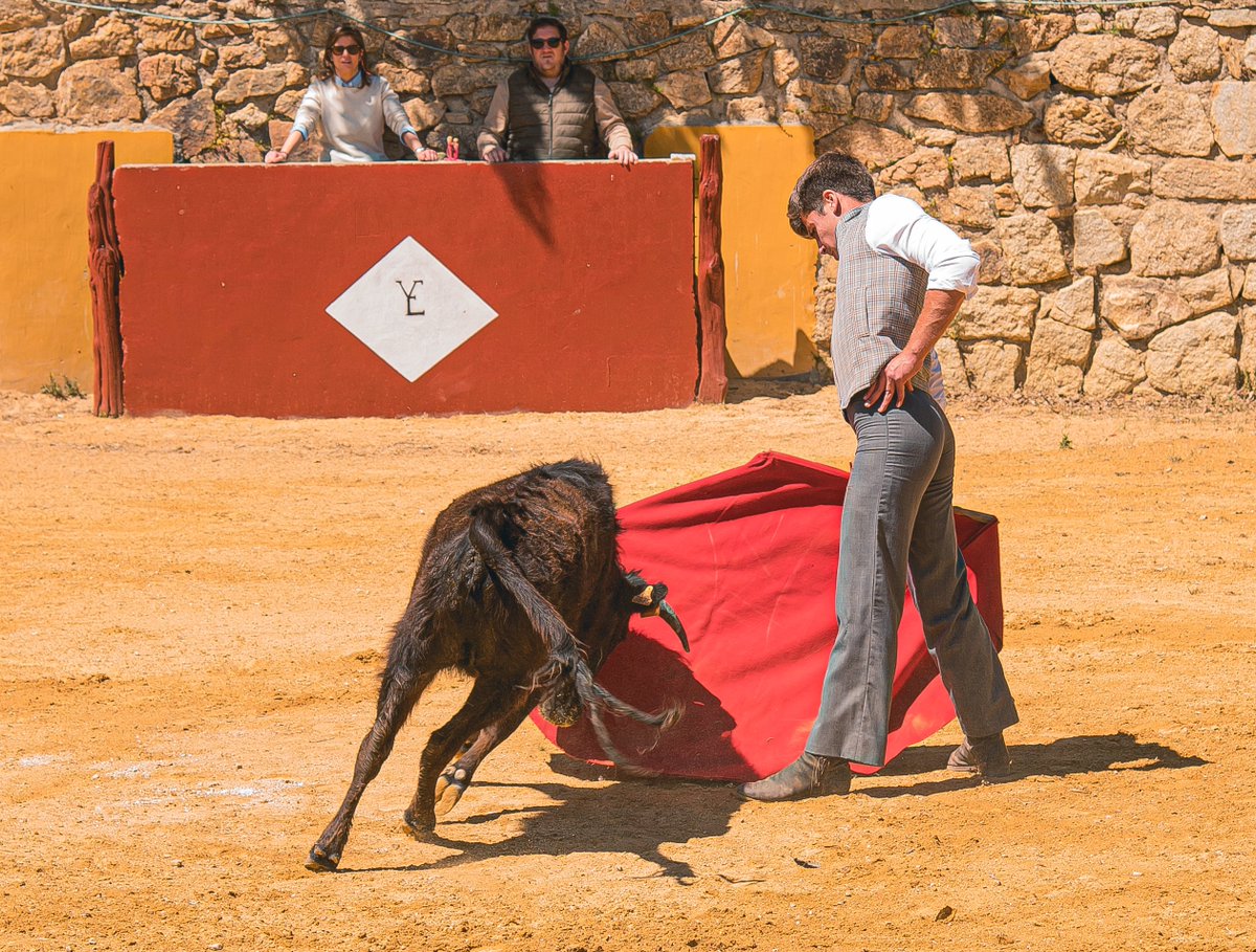 Alfonso Blanco tweet media